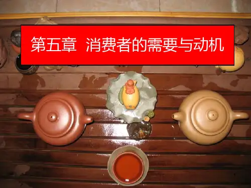 第五章节消费者的需要与动机PPT课件