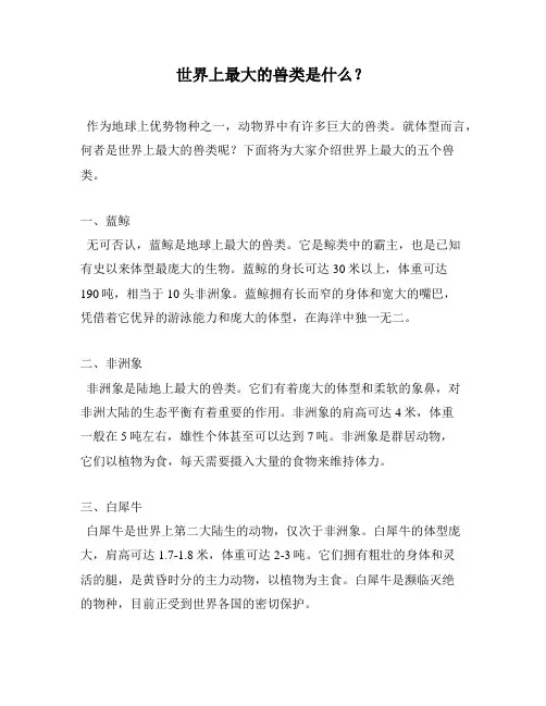 世界上最大的兽类是什么？