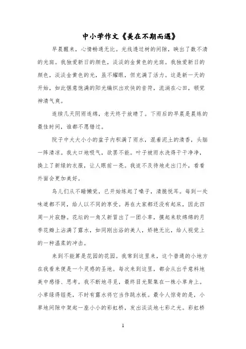 中小学作文《美在不期而遇》