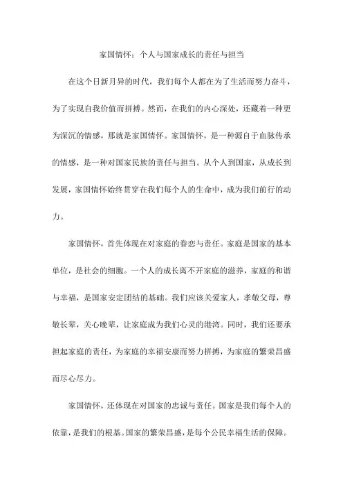 家国情怀：个人与国家成长的责任与担当