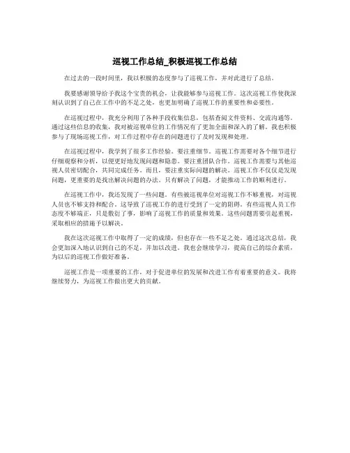 巡视工作总结_积极巡视工作总结