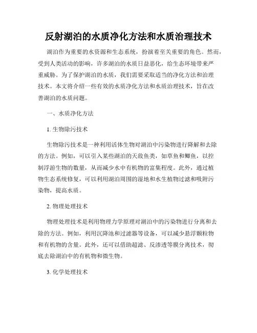 反射湖泊的水质净化方法和水质治理技术