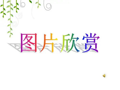 转动的风车ppt课件小学信息技术冀教版五年级上册