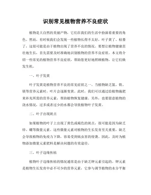 识别常见植物营养不良症状