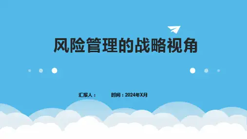 风险管理的战略视角
