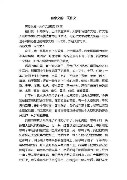 有意义的一天作文