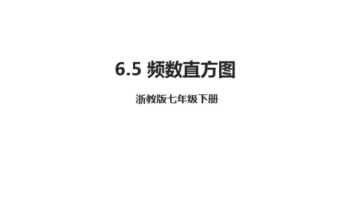  6.5 频数直方图  课件浙教版数学七年级下册