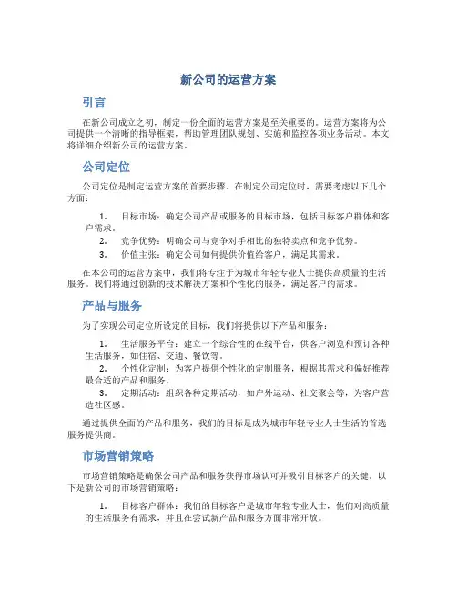 新公司的运营方案