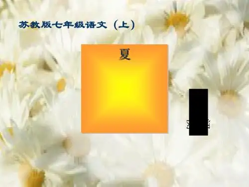 《夏》PPT(上课用)5