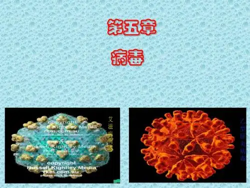 八年级上生物《病毒》