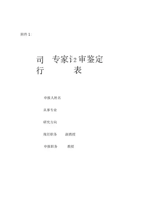 同行专家评审鉴定表