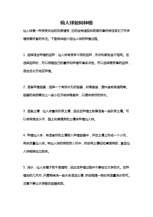 仙人球如何种植
