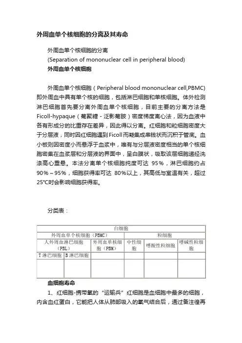 外周血单个核细胞的分离及其寿命