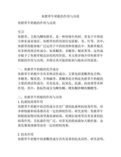 鱼腥草牛奶根的作用与功效