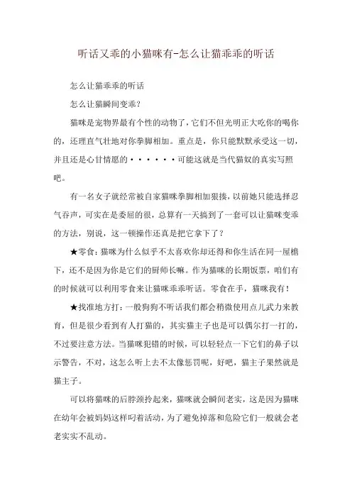 听话又乖的小猫咪有-怎么让猫乖乖的听话