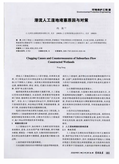 潜流人工湿地堵塞原因与对策