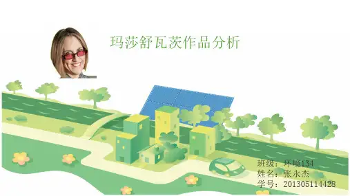 玛莎舒瓦茨三个案例分析幻灯片