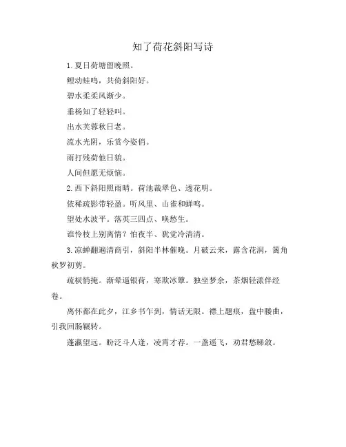 知了荷花斜阳写诗