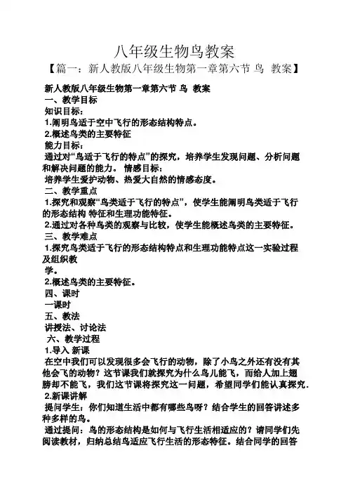 八年级生物鸟教案
