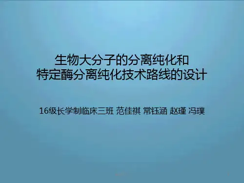 从动物肝脏组织中分离、提取、纯化和鉴定一种酶(由三个不同亚基组装成,为结合酶,等电点为6.2)的技术路线  p