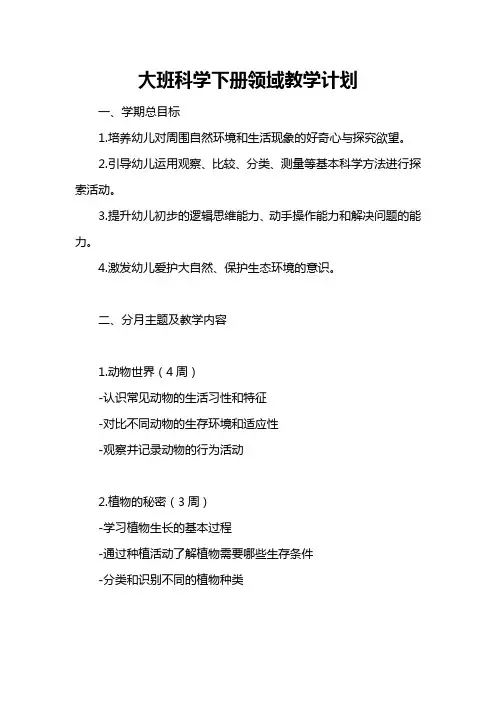 大班科学下册领域教学计划