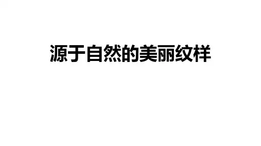 初一美术(人美版)源于自然的美丽纹样