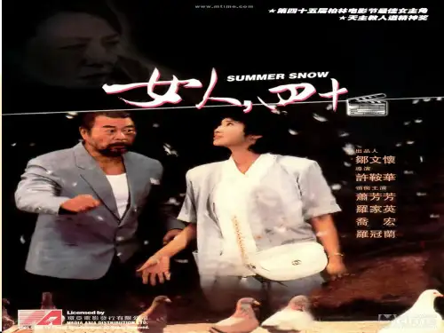 女人四十电影评论课件