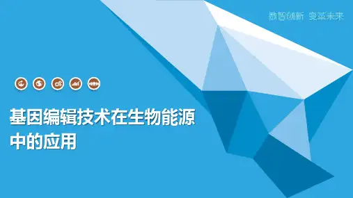 基因编辑技术在生物能源中的应用