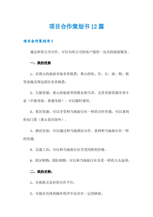 项目合作策划书12篇