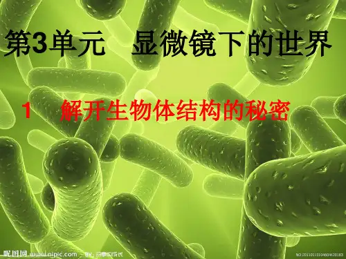 五年级下册科学课件-3.1 解开生物体结构的秘密(15)-湘科版