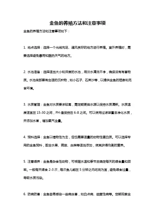 金鱼的养殖方法和注意事项