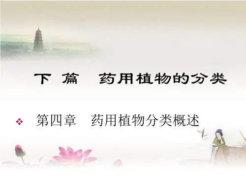 药用植物学 第4章  药用植物分类概述