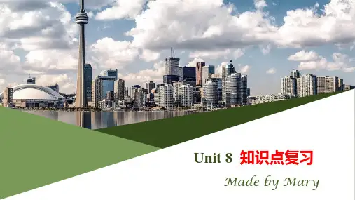 unit8 知识点复习课件  九年级英语人教版全册 