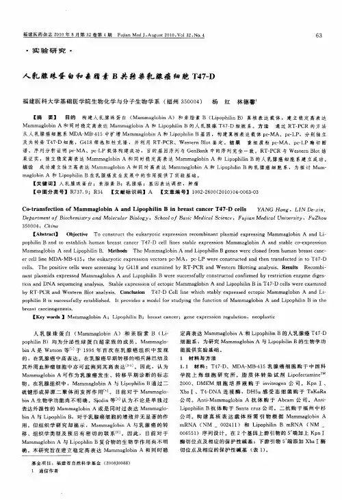 人乳腺珠蛋白和亲脂素B共转染乳腺癌细胞T47-D
