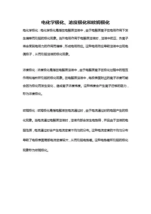 电化学极化、浓度极化和欧姆极化
