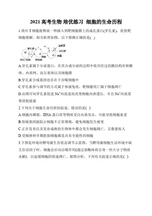2021 高考生物 培优练习  细胞的生命历程(含答案)