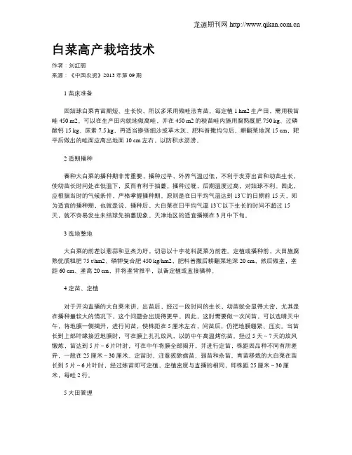 白菜高产栽培技术