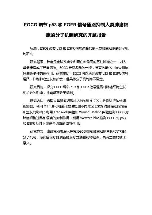 EGCG调节p53和EGFR信号通路抑制人类肺癌细胞的分子机制研究的开题报告