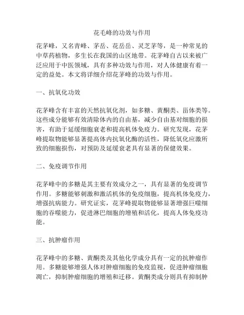 花毛峰的功效与作用