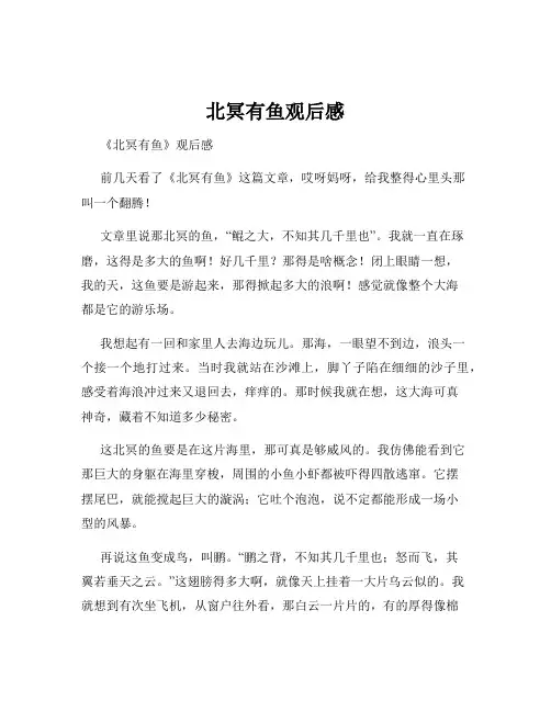北冥有鱼观后感
