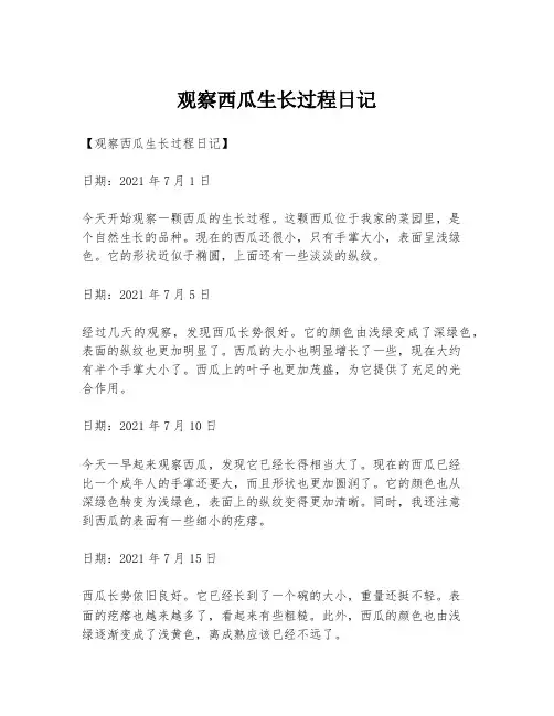 观察西瓜生长过程日记