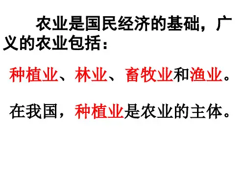 区域地理中国农业ppt课件