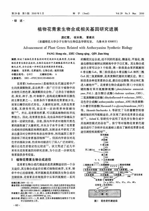 植物花青素生物合成相关基因研究进展