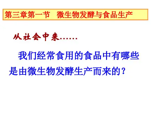 生物：3.1《微生物发酵及其应用》课件2(新人教版选修2)