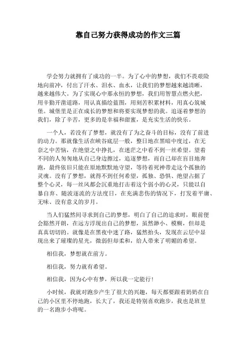 靠自己努力获得成功的作文三篇
