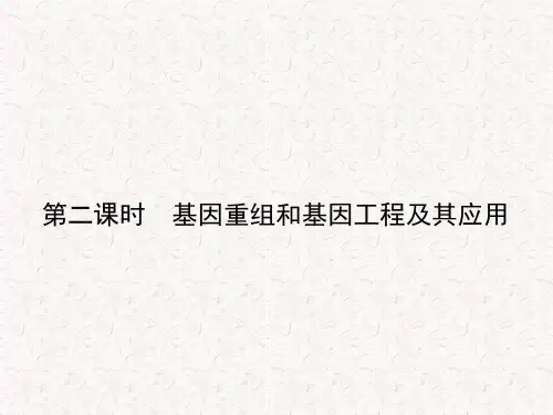高中生物 4.4.2 基因重组和基因工程及其应用课件 苏教版必修2