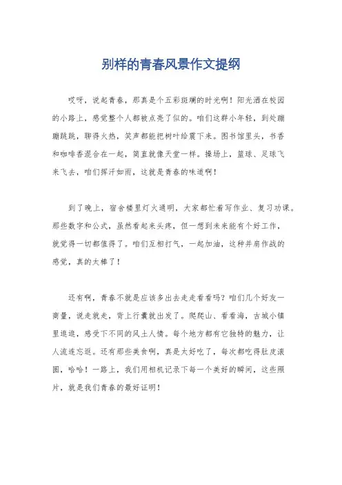 别样的青春风景作文提纲