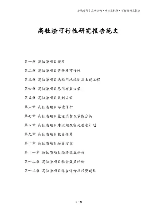 高钛渣可行性研究报告范文