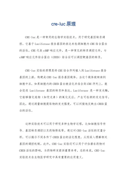 cre-luc原理