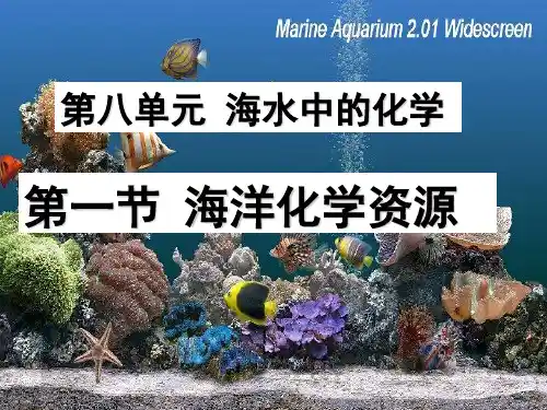 鲁教版九年级化学上册8-1海洋化学资源 (共17张PPT)